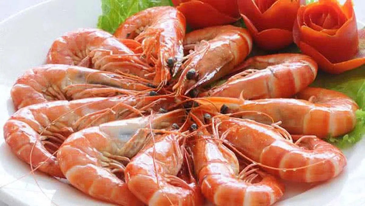 Cây Bàng Quán - Nghi Lộc (TT Quán Hành cũ)