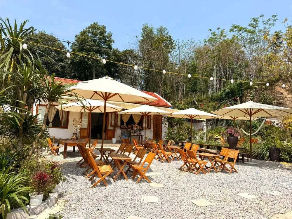 Thanh Xuân Quán Coffee - Quỳ Hợp