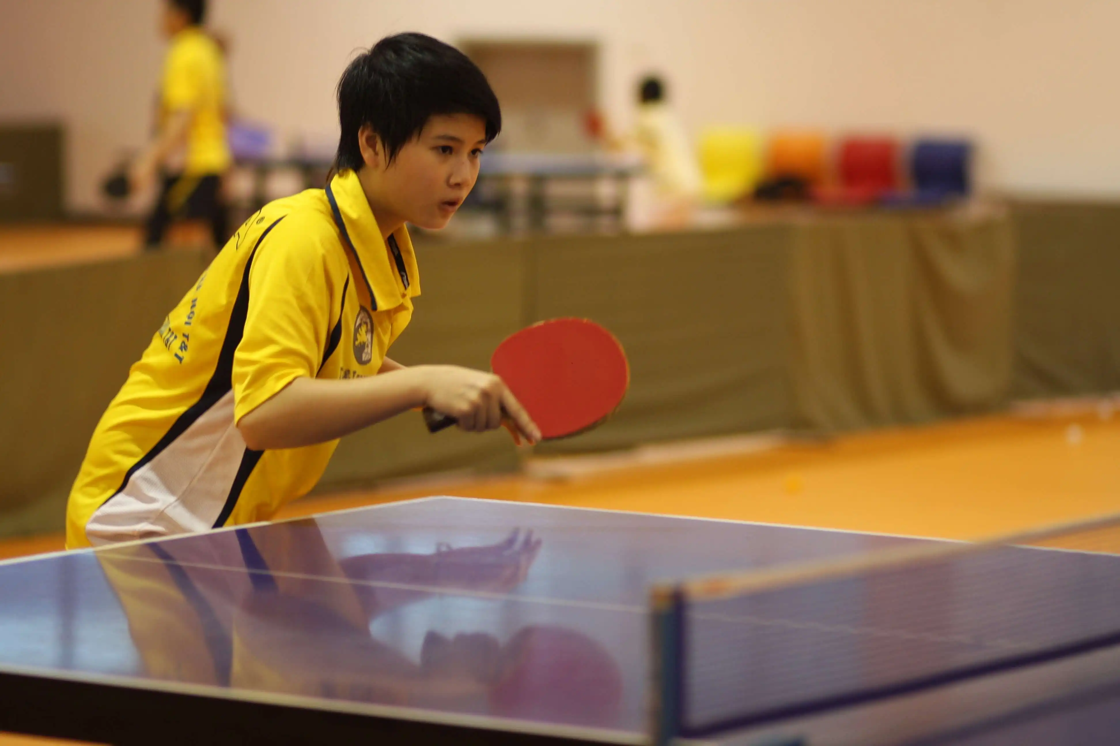 Top 10+ sân bóng bàn Nghệ An tốt, chuyên nghiệp nhất 