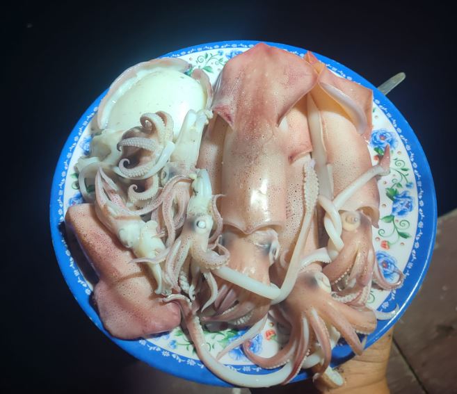 câu mực đêm Cửa Lò